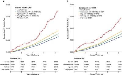 Associations between polygenic risk of coronary artery disease and type 2 diabetes, lifestyle, and cardiovascular mortality: A prospective UK Biobank study